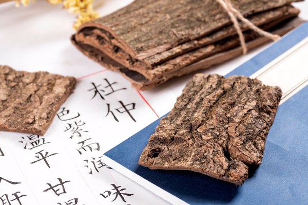治手足癣用中药方剂