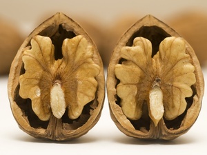 核桃核治疗<a href=https://www.sanguangjiaoqifen.com/buy/ target=_blank class=infotextkey><a href=https://www.sanguangjiaoqifen.com/buy/ target=_blank class=infotextkey>手足癣</a></a>有用吗