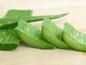芦荟汁能治<a href=https://www.sanguangjiaoqifen.com/buy/ target=_blank class=infotextkey><a href=https://www.sanguangjiaoqifen.com/buy/ target=_blank class=infotextkey>手足癣</a></a>吗